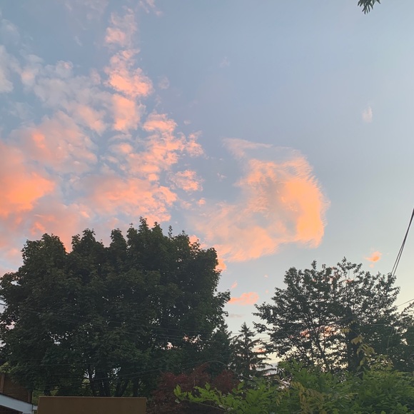 Meet your Posher, Joanne - Picture 1 of 1